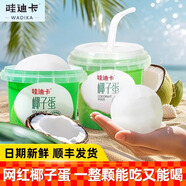 哇迪卡網紅椰子蛋500g泰國椰皇新鮮椰子原汁飲品椰肉香椰果汁飲料 （1個椰蛋+2份椰子水）500g*1桶