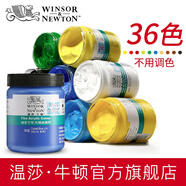 溫莎牛頓畫家專用丙烯顏料300ml大瓶手繪彩繪diy畫墻繪專用材料紡織畫專用防水-1 常用24色 300ml