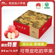 燕賓 值得您信賴的種植者 YB-YUANSHENGTAI【地標(biāo)農(nóng)品】洛川蘋果陜北紅富士蘋果產(chǎn)地直發(fā)時令蘋果脆甜多汁 凈重4.5斤 特大果【洛川大蘋果】