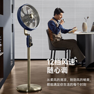 先鋒落地扇家用風(fēng)扇離線語音智能操控 DLD-M9