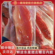 潮海堂 深海海捕東星斑 (去肚去腮)海鮮冷凍瓜子魚斑魚生鮮魚類節(jié)日送禮 海捕東星斑 凈重400-500g/條
