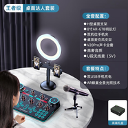 金運 V20聲卡直播設備全套麥克風(fēng)錄音套裝話(huà)筒唱歌手機藍牙電腦無(wú)線(xiàn)變聲器電容麥全民K歌抖音快手 桌面入門(mén)套裝【無(wú)線(xiàn)麥克風(fēng)+8寸美顏燈】-聲卡全套