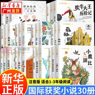 國際大獎兒童文學(xué)獲獎小說注音版 廣東新華推薦一年級課外閱讀必讀書籍7-10歲世界名著 綠野仙蹤小學(xué)生暑假拼音讀物二三年級課外叢書 123.國際獲獎小說閱讀（全30冊）