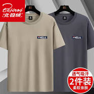 北極絨男士夏季新款冰絲短袖t恤學(xué)生打底衫百搭男裝潮流寬松上衣服 2件裝【FNG款*卡其+深灰】 M 【建議80-斤】