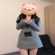 冉藝嵐感灰色毛呢a字半身裙女冬季新款韓系小個子顯瘦高腰包臀裙子 灰色 均碼 s