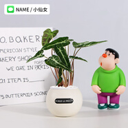 綠有意綠植室內(nèi)小盆栽桌面發(fā)財樹易活四季懶人養(yǎng)的花吸甲醛植物幼兒園 小仙女【圓嘟嘟自動吸水盆】