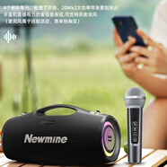 紐曼Newmine戶外K歌藍牙音響大功率藍牙音響B(tài)T101