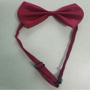 雪澈領(lǐng)結男女純色學(xué)士服配件免打結拉鏈領(lǐng)帶男士女演出配飾蝴蝶結 酒紅色領(lǐng)結 【可調節帶長(cháng)42cm】