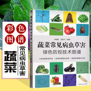 蔬菜栽培技術(shù)大全 蔬菜種植技巧 栽培技術(shù)知識(shí) 大棚蔬菜栽培實(shí)用技術(shù) 瓜類(lèi)蔬菜種植管理知識(shí)及病蟲(chóng)害圖譜與防治書(shū) 蔬菜常見(jiàn)病蟲(chóng)草害綠色防控技術(shù)圖譜