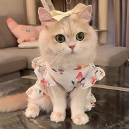 阿莫爾貓咪衣服夏季薄款網(wǎng)紗飛袖裙可牽引金漸層布偶幼貓寵物狗狗防掉毛 蘑菇飛袖裙 M(建議5-8斤具體參考胸圍背長(cháng))