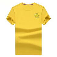 圣馬奇保羅保羅夏季圓領(lǐng)短袖t恤男純棉寬松大碼半袖男休閑百搭高品質(zhì)T恤衫男 1803黃色 S 建議80-100斤