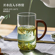 鑫璟仁玻璃綠茶杯高檔創(chuàng)意手繪陶瓷水杯帶把簡約杯家用透明泡茶杯耐高溫 春茗杯（400mL)