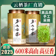 巖武堂江西廬山云霧茶炒青工藝綠茶2025新茶廠家直銷綠茶濃香型400g罐裝 600米高山 (高醇豆香)400g
