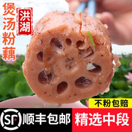 藕荷泥（OUHENI）正宗洪湖粉藕新鮮蓮藕湖北特產(chǎn)現挖九孔藕煲湯湖藕粉糯蓮藕蔬菜 洪湖粉藕5斤