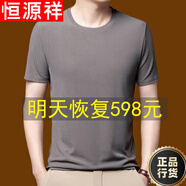 恒源祥桑蠶絲短袖t恤男士夏季冰蠶絲圓領(lǐng)休閑體恤衫真絲純色polo衣衫 2028夜灰 L 175碼(推薦135-150斤)