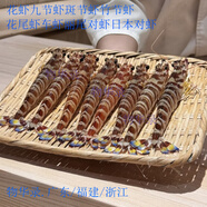 海捕野生花蝦竹節(jié)蝦九節(jié)蝦斑節(jié)蝦麗尾對(duì)蝦車蝦日本對(duì)蝦海鮮大蝦 野生海捕活凍5-6頭/斤 1斤(凈重)