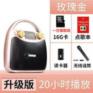 伊菲爾（Eifer）B11新款便攜式藍牙音箱廣場舞音響大音量K歌手提戶外 升級版金+無線話筒+16G一萬首歌 標配