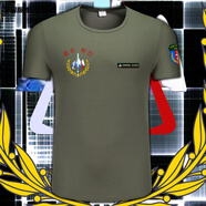 禾回昆侖利刃隊(duì) 速干短袖T恤男裝 冰絲衣服 服飾 軍綠色 S