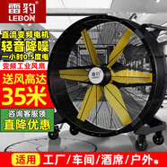 雷豹（LEBON）工業(yè)風(fēng)扇強(qiáng)力超大落地式趴地扇永磁無(wú)刷工業(yè)大風(fēng)扇球館車間倉(cāng)庫(kù)大風(fēng)機(jī)手推可移動(dòng)大風(fēng)扇大型電風(fēng)扇 1080大風(fēng)扇丨直流變頻電機(jī)-250平/無(wú)極調(diào)速