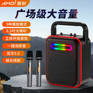 夏新（Amoi）新款藍牙音箱戶(hù)外大音量小型手提廣場(chǎng)舞音響家用收音機手提便攜式地攤擺攤喇叭收錢(qián)碼語(yǔ)音播報器 Z3升級版（雙話(huà)筒）