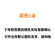 婚紗輔料歐根紗蕾絲大花朵超仙頭飾立體小花蛋糕手工材料衣服裝飾 混色5朵/拍備注花朵名稱和數(shù)量