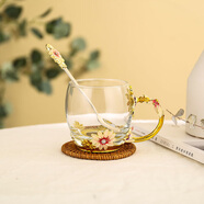 紅鐵普 輕奢琺瑯彩水杯茶杯子家用個(gè)性玻璃杯琺瑯杯花茶杯咖啡杯個(gè)性玻 矮款水杯+琺瑯勺-無(wú)蓋 320ml 1只