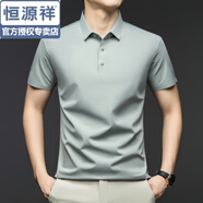 恒源祥高端桑蠶絲短袖T恤男夏季薄款商務(wù)休閑翻領(lǐng)彈力無痕polo衫上衣服 Y2Y-T888綠色 M
