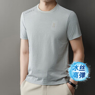 羅蒙2025新款夏季短袖t恤男圓領(lǐng)純色冰絲體恤上衣休閑百搭T恤男 天藍色 L 175