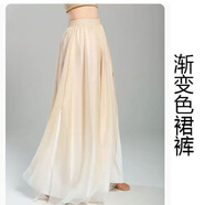單南衛(wèi)古典舞服裝小個子古風(fēng)身韻紗衣練功服飄逸中國舞舞蹈服演出服套裝 香檳漸變褲子 S 80到95斤