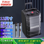 萬利達（Malata）家庭家用k歌藍(lán)牙大功率12英寸低音炮廣場舞音響音箱戶外移動便攜式帶雙麥克風(fēng)M+9039