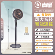 吉星電風扇空氣循環(huán)扇彩鋁風葉家用香薰智能遙控落地扇臥室小型臺立式風扇 10寸智能款 鈦晶灰【智能語音+遙控】