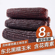 守望鄉(xiāng)村（KEEP W-VILLAGE GO）新東北鮮嫩玉米 粘糯黏甜糯香真空玉米苞米 早餐粗糧小玉米 黑色小玉米8支（單支160-200g）