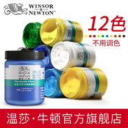 溫莎牛頓畫家專用丙烯顏料300ml大瓶手繪彩繪diy畫墻繪專用材料紡織畫專用防水-1 常用12色 300ml