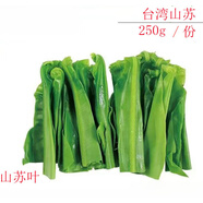 山蘇250g新鮮山蘇菜鳥(niǎo)巢蕨西餐酒店特色野菜 100g