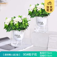 開(kāi)時(shí)果 梔子花盆栽濃香型四季開(kāi)花卉 陽(yáng)臺(tái)花卉好養(yǎng)綠植物源頭直發(fā)包郵 早安盆2盆【90#梔子花】