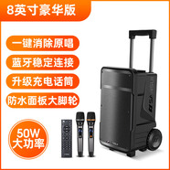 山水（SANSUI）A08 戶外K歌專用音響大功率重低音廣場舞智能音箱多媒體會議帶麥克風8英寸  單拍不發(fā)貨 A15 15吋低音+美聲話筒