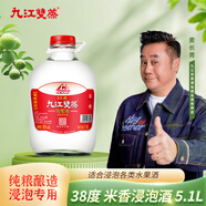 九江雙蒸 米香型白酒 38度浸泡酒5.1L 廣東米酒浸泡青梅果酒送禮白酒