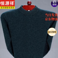 恒源祥秋冬季中青年高翻領(lǐng)100純羊毛衣男士打底衫加厚羊毛衫保暖毛衣 半高【上青】 170/L120斤-140斤