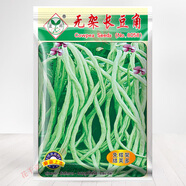 四季陽臺盆栽菠菜番茄辣椒白菜小蔥蘿卜生菜孑香菜籽蔬菜種子大全 原種無架豆角（40粒）買2包送1包