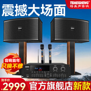 TEMEISHENG特美聲家庭ktv音響套裝TM-100卡拉ok機家用功放客廳k歌全套 H21(音響）+功放+話筒