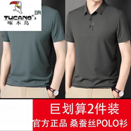 啄木鳥男裝夏裝 桑蠶絲短袖t恤男士冰感寬松真絲體恤商務(wù)中青年polo衫 8319豆綠+8319草灰【2件裝】 2XL 180【建議150-165斤】