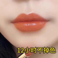 GOVO口紅不沾杯不掉色防水持久滋潤保濕 防水口紅保濕口紅番茄紅奶茶 #503胡蘿卜色【暢銷(xiāo)】
