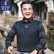 啄木鳥（TUCANO）中年男士爸爸裝上衣男假兩件休閑長袖t恤男春秋季新款中老年男裝 6688綠色 M /165【適合90-110斤】