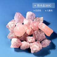 山迪天然紫水晶擺件紫氣東來(lái)擴(kuò)香石水晶碎石消磁碗紫色能量寶石 【大顆粒原石】粉水晶300g