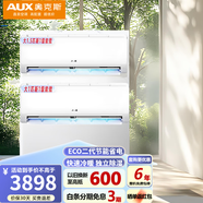 奧克斯空調 大1匹/1.5p 新一級能效 變頻冷暖 高溫自清潔 壁掛式 臥室掛機 省電俠分體式組合套裝 【1.5匹+大1組合套裝】1.5匹+大1匹