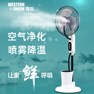 西聯(lián)家用噴霧落地風(fēng)扇霧化加濕電風(fēng)扇加冰水冷制冷霧降溫水霧大風(fēng)力加水電扇負(fù)離子空氣凈化搖頭落地扇 09上加水機(jī)械款