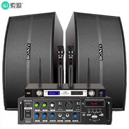 索愛(ài)（soaiy） 家庭影院KTV音響套裝10英寸家用商用會(huì )議舞蹈室設備卡拉ok藍牙功放 8英寸音響套裝+無(wú)線(xiàn)話(huà)筒