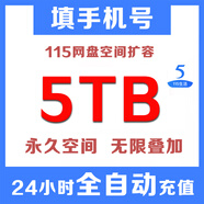【官方充值】115網(wǎng)盤空間擴(kuò)容卡 5TB空間 可無限疊加充值 非會員也可以充值