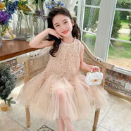 HUALIN FASHION廣州十三行夏季亮片紗裙公主風(fēng)女童連衣裙仙國風(fēng)中大童2025 香檳色【仙】頭紗 均碼 90