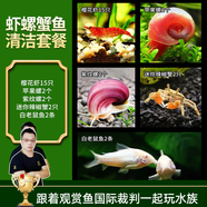 云峰海瑞黑殼蝦清潔蝦觀賞蝦 魚(yú)缸水族箱水草缸清潔除藻淡水 蝦螺蟹魚(yú)清潔套餐